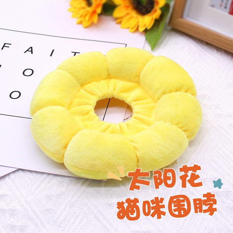 伊丽莎白太阳花宠物伊丽莎白圈