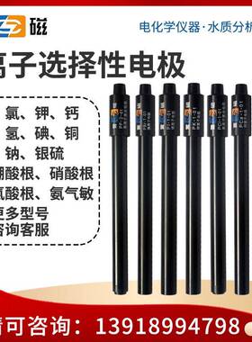 6801/6801-01型钠电极钠离子电极/