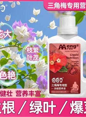 三角梅专用营养液快速催花防黄叶促花爆盆神器四季开花不断专用肥