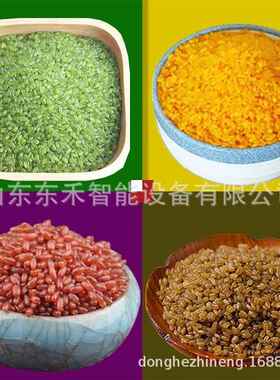 健康饮食双螺杆产D545T70强营养化米生产线 营养米生设大备厂家