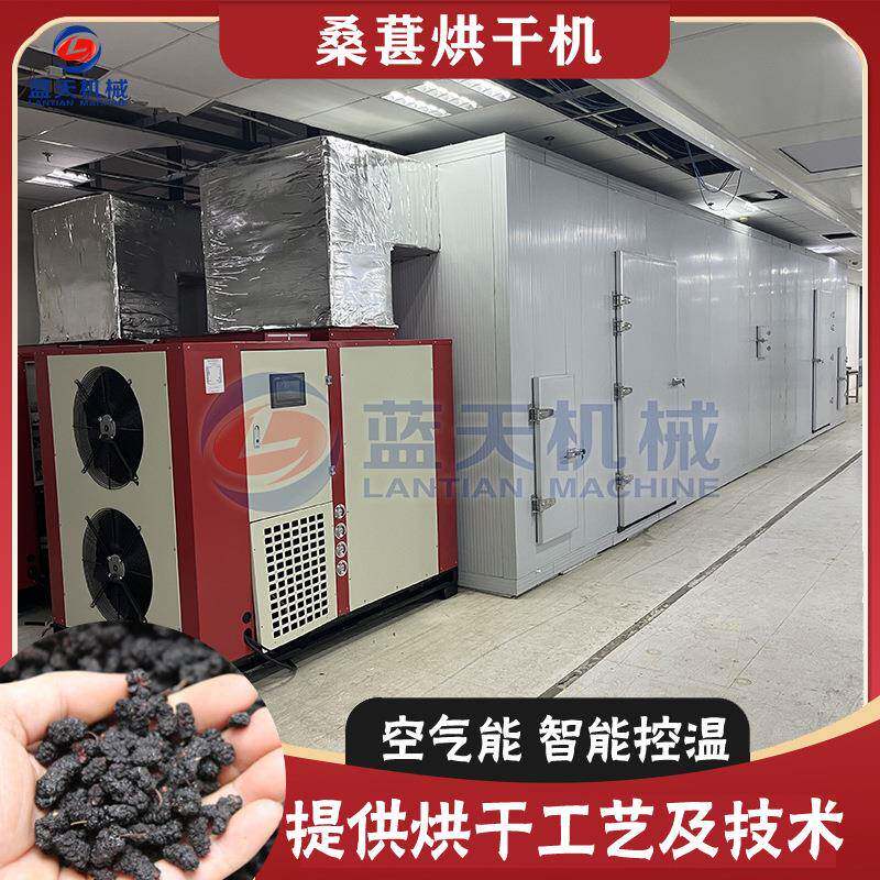 大型热泵桑葚烘干机 空气能桑葚干烘干机 桑果桑葚子智能烘干设备