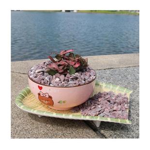 家直供庭院天彩然鹅卵石｜日式 微景951观造景专用｜厂鱼色缸水族