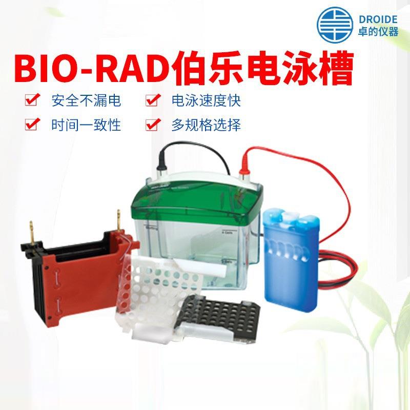 美国伯乐BIO-RAD电泳槽电泳仪垂直电泳槽转印槽蛋白槽一级