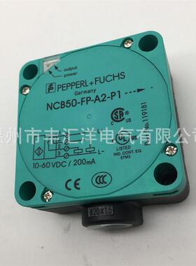 电感式大距离方形接近开C关NB50FPE2P2391CN50FPNA2P1