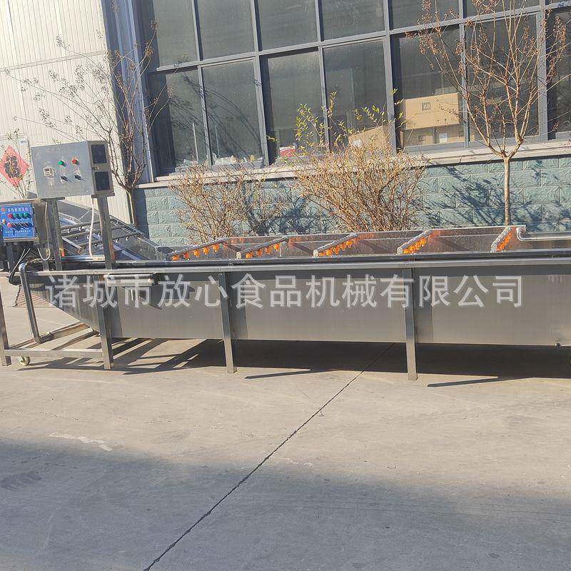 黄豆芽清洗机蔬菜清洗机价格sus304不锈钢蔬菜气泡清洗机