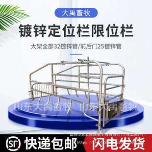 母猪产床猪产床仔猪分娩床猪用双体产床落地位简易产床