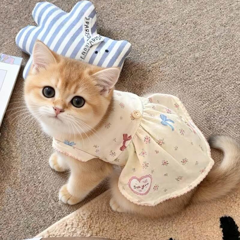 猫咪衣服夏季新款小型幼犬布偶猫金渐层幼猫可爱碎花背心连衣裙子