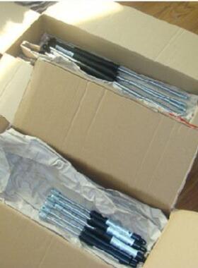 德国HAHN-Gasfedern 气弹簧 G10-23-300-1-700-AU19