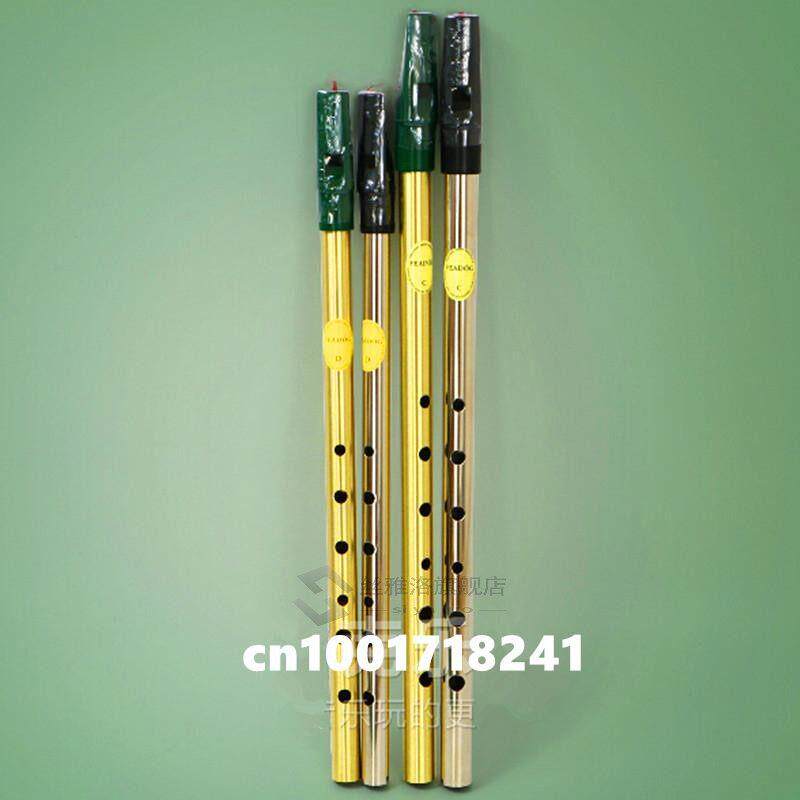 Irish Whistle Flute Feadog C D Key Tin Whistle 6 Hole Clarin