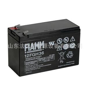非凡FGC21803免维护蓄电池12V18Ah应急通讯 FIAMM 意大利