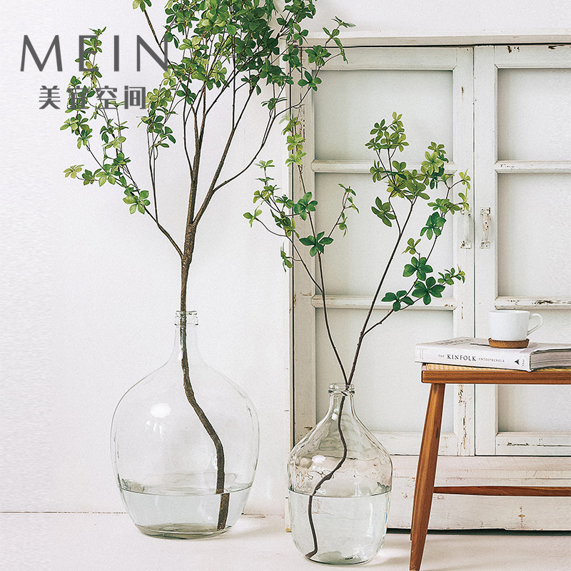 马醉木花瓶大肚透明玻璃花瓶木吊钟真绿植树枝客厅装饰植物厂家
