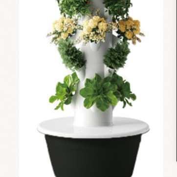 培育无土栽培新品室内水培盆栽种植植物系统塔家庭