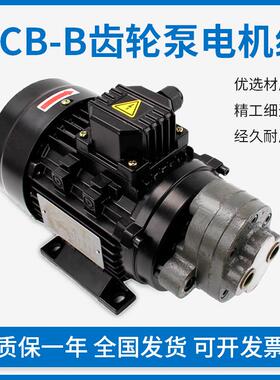 液压齿轮泵CB-B6/B4/B10/B2.5/B16/B20/25/B32三角机摆线 线油泵