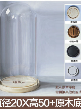 摆件玻璃罩蝴蝶送女朋友球形玻璃罩软木塞新款摆设保存瓶展示盒