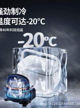 SAST车载冰箱压缩机制冷12v24v两用冷藏冷冻双门货车小型冰柜