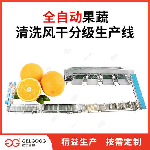 橙子洗果加工机器 水果清洗风干分级全套机械 全自动橙子清洗设备