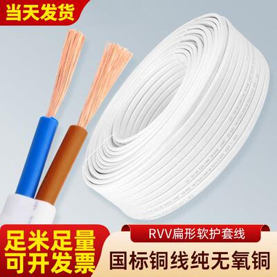 RVV国标纯铜电线软线家用二芯护套线2芯1.5/2.5/4平方户外专用线