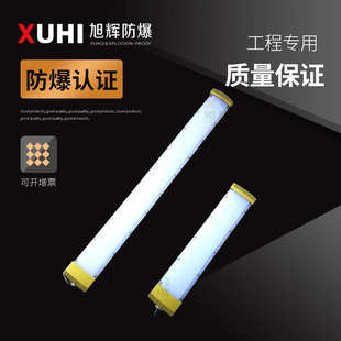LED防爆灯20W40W60W双管防爆荧光灯防爆日光灯可加应急 厂家XHD93