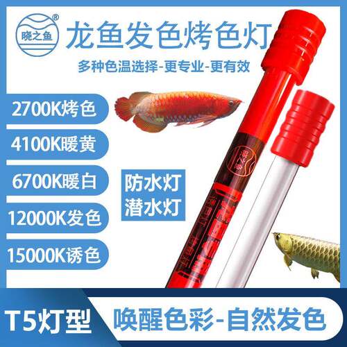 红龙专用发色灯诱色增色T5鱼缸原子灯nec金龙红龙鱼烤色灯潜水灯