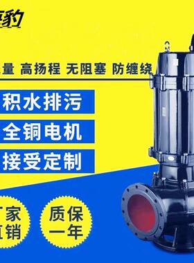 防汛潜水污水泵65qw25-30-4kw潜水排污泵防汛排水泵排水潜污泵