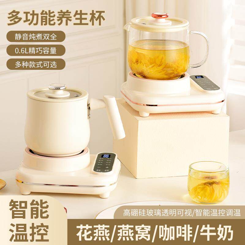 养生壶小型办公室多功能炖煮花茶壶慢炖迷你养身壶宿舍家用烧水壶