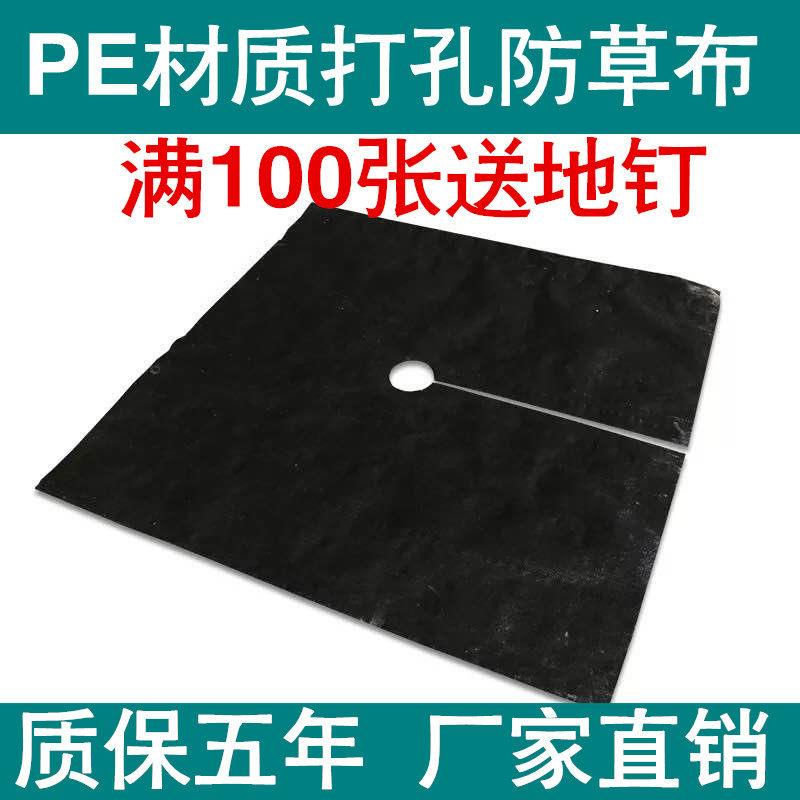 PE材质打孔防草布 果园专用柑橘枇杷除草布