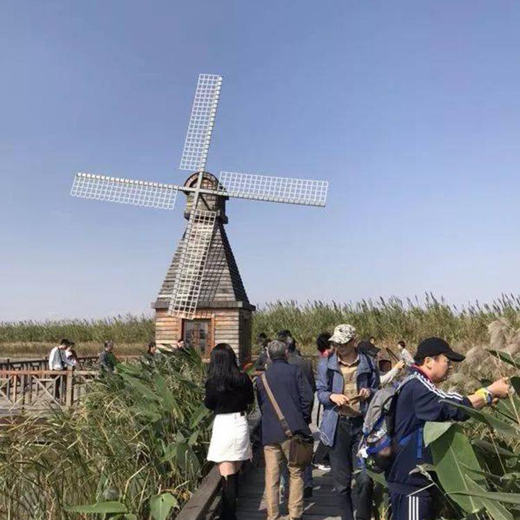 厂家直销户外防腐木荷兰田园花海公园学校动态大型风车户外摆件