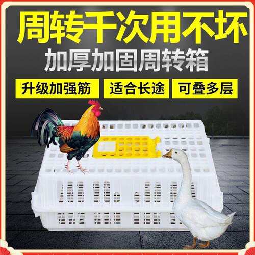 鸡运输笼 鸡用周转箱 运输鸡笼 鸡鸭鸽兔周转箱运输笼 鸡框