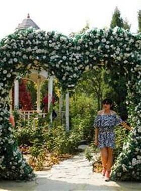 背景墙拱门架子桁架心形具门爱心12312312花门架子庆道婚婚庆花门