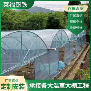厂家薄膜连栋温室大棚花卉水果蔬菜大棚农业观光种植大棚骨架安装