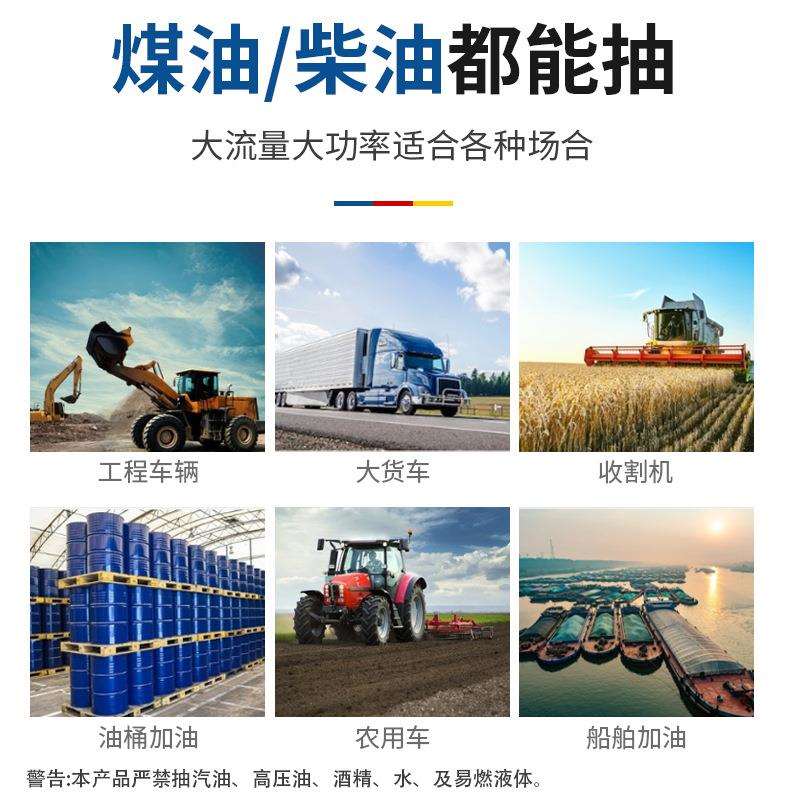 12V24V220V小型直流抽油泵机油泵电动加油机微型柴油自吸泵