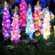 新款 饰灯庭院景观灯 太阳能仿真花灯户外玫瑰郁金香花园民宿氛围装
