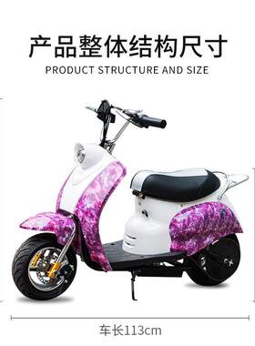厂家直销小龟王摩托车 女士踏板两轮电动代步车 成人迷你电动车