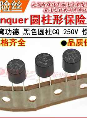 黑色圆柱保险丝管 T160MA 400MA 500MA 800MA 1A 1.25A 1.6A/250V