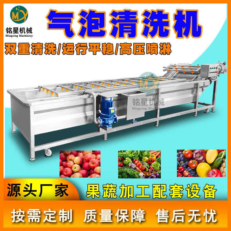 全自动连续式葡萄清洗机 气泡式小青柑清洗设备 商用水果清洗机