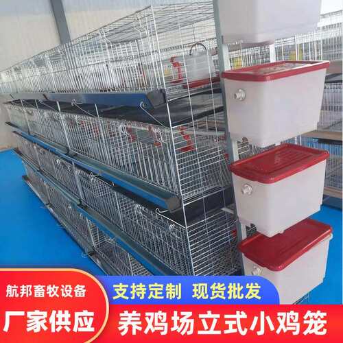 供应四层小鸡笼育雏笼冷镀锌家用鸡笼大型育雏鸡笼养殖笼厂家