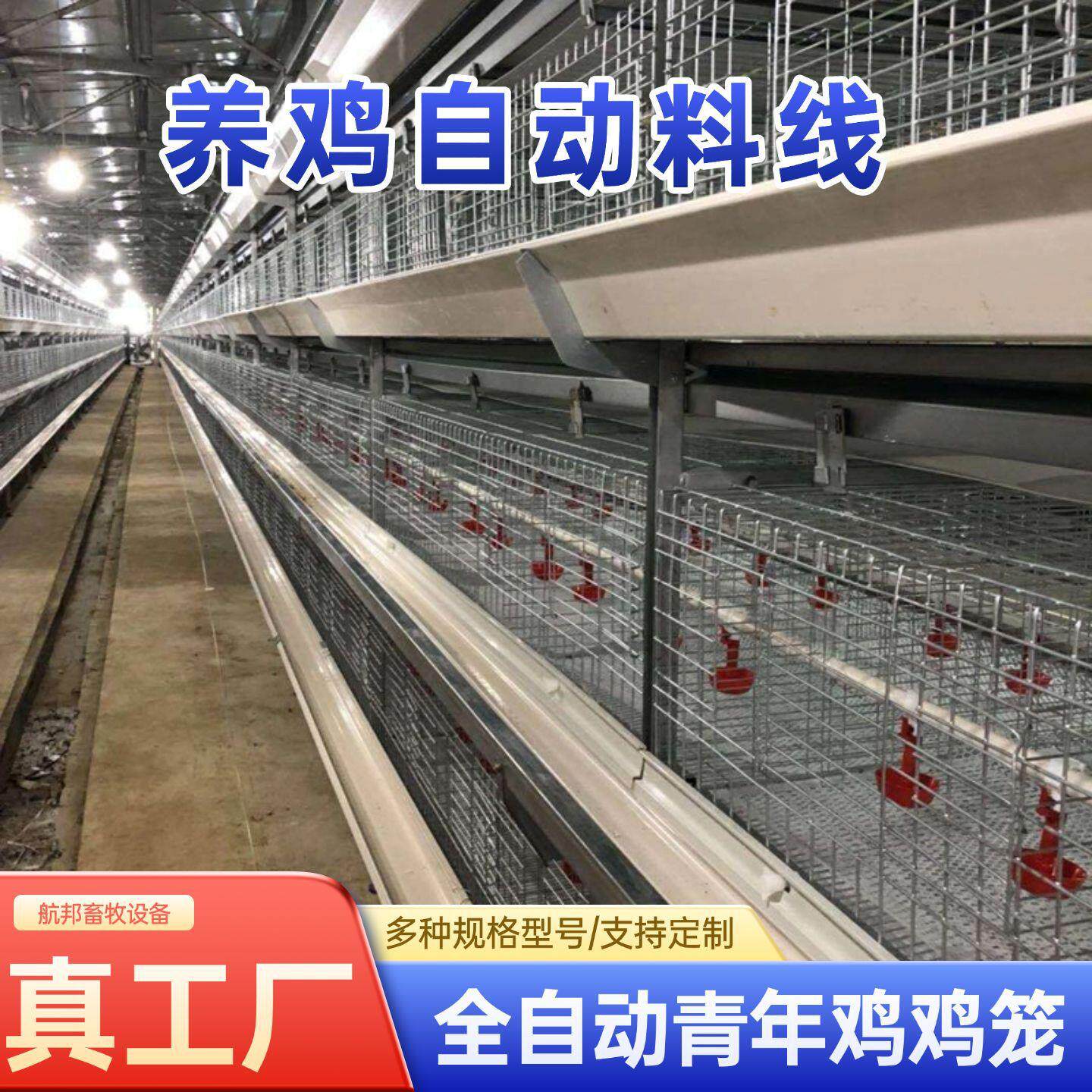 青年鸡蛋鸡笼育雏笼自动一体化立体框架养殖设备后热镀锌