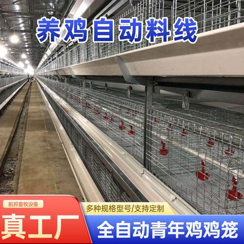 青年鸡蛋鸡笼育雏笼自动一体化立体框架养殖设备后热镀锌