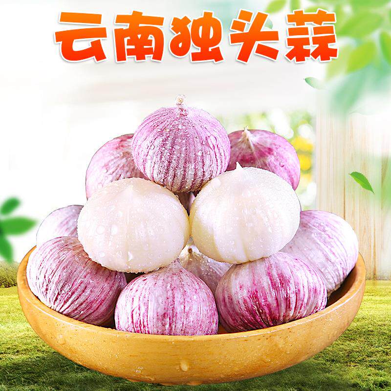 云南独头蒜 1/4斤紫皮珍珠辣香干蒜头蔬菜红皮大蒜非洋葱