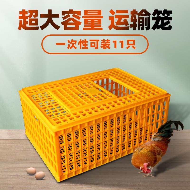 周转箱塑料鸡笼鸡鸭运输厚大鸽笼