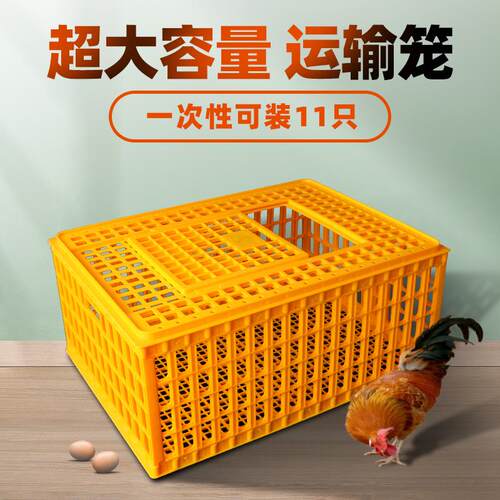 装鸡塑料筐鸡笼周转箱成鸡鸭鹅运输加厚大尺码鸡笼鸡鸭鹅鸽笼运输