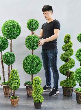 模拟植物塑料草球加密米兰盆栽大型盆景室内客厅家庭田园绿色植物