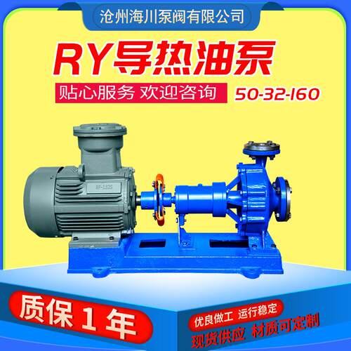 RY32-32-160高温导热油泵循环泵化工纺织离心泵锅炉风冷输送泵