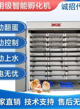 全自动孵化机小型528枚孵化机鸡鸭鹅孵蛋器孵化器孵化箱孵化设备