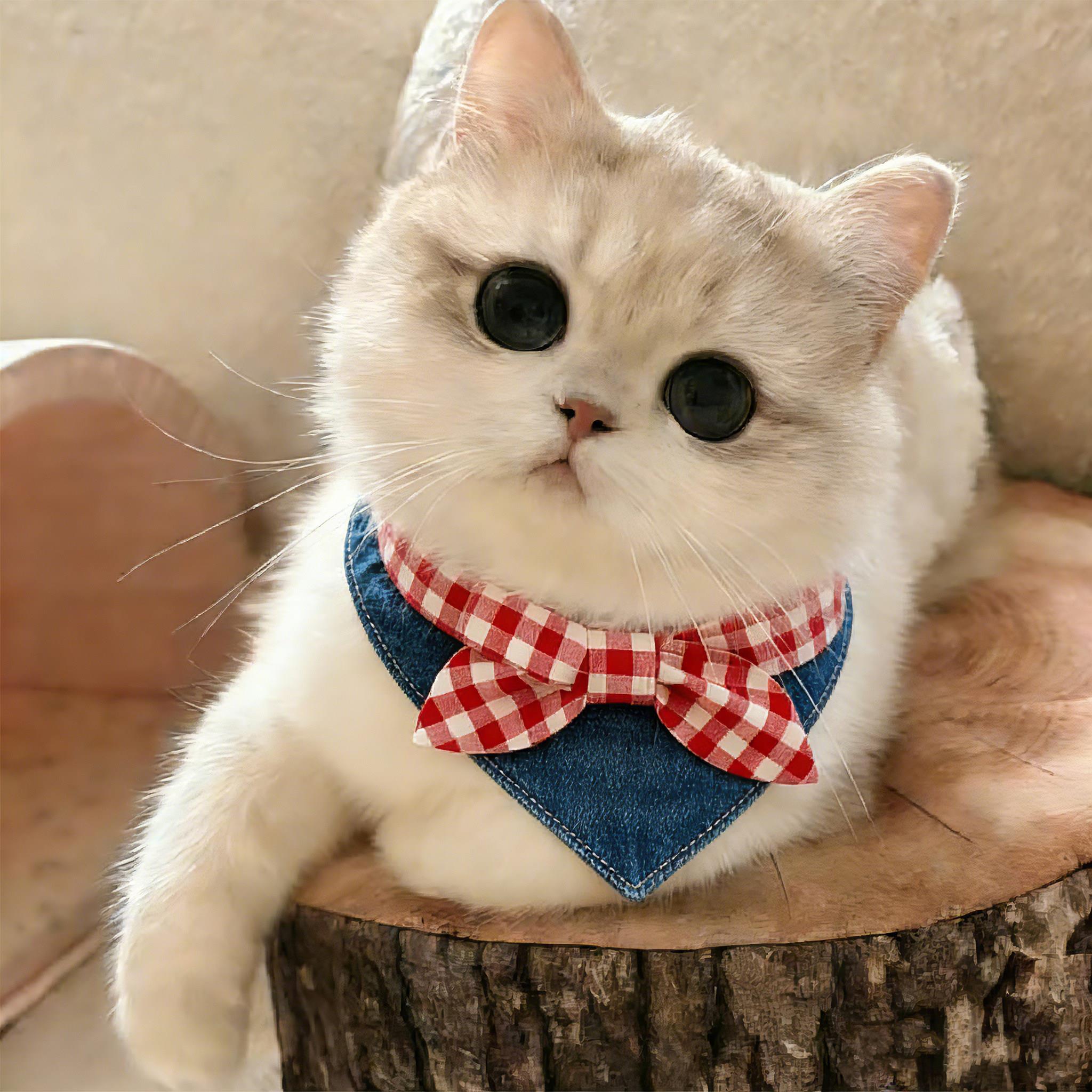 猫咪围脖口水巾牛仔蝴蝶结狗狗三角巾脖圈配饰小猫围兜围巾装饰