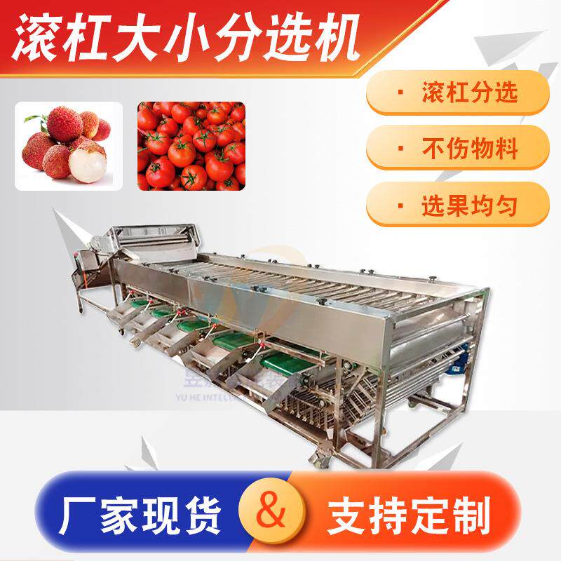 全自动果蔬重量分选机商用番茄洋葱滚杠式分级机土豆果蔬分级机
