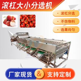 枇杷芒果分级设备无花果分选机全自动变距滚杠果蔬大小分选机