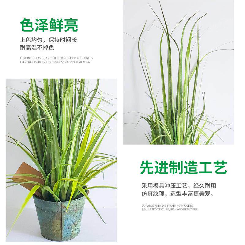 洋葱草盆栽  小盆景  家居装饰品  仿真植物  假草  复古仿真花