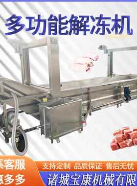 冻冻肉化冻9儿节能设备连续式鸡肝解流水 线猪肉冻盘 海鲜解冻机