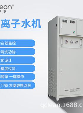 100-300L/H去离子水机全自动节能型设计可自动清洗延长使用寿命